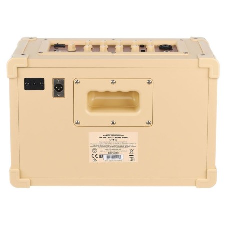 Blackstar Acoustic Core 30