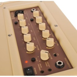 Blackstar Acoustic Core 30