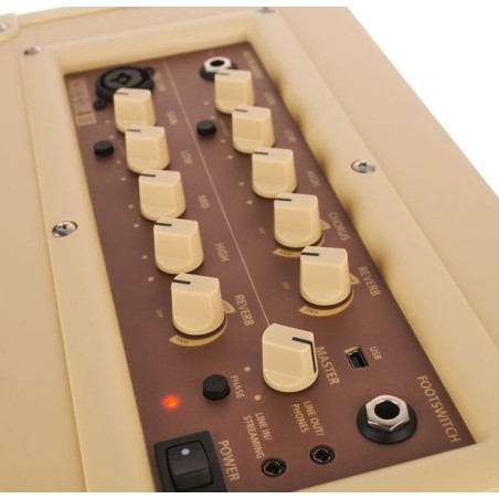 Blackstar Acoustic Core 30