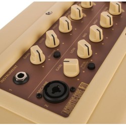 Blackstar Acoustic Core 30