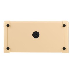 Blackstar Acoustic Core 30