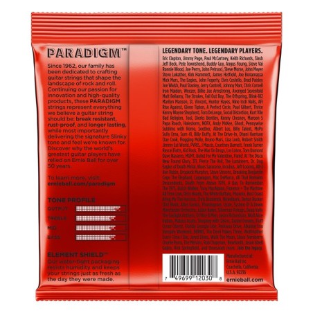 Ernie Ball 2030 7-Strings Slinky Paradigm 10-62