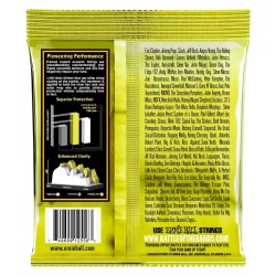Ernie Ball 2556 12-54 Bronze EVERLAST