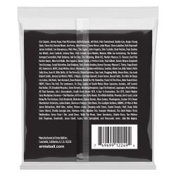 Ernie Ball 2249 Extra Slinky Stainless Steel 8-38