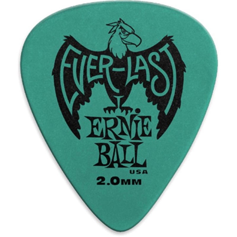 Ernie Ball 9196 2.0 Everlast