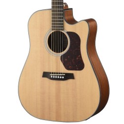 Walden D550CE Natura