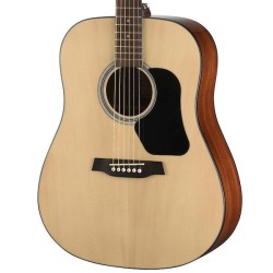 Walden D450 Standard