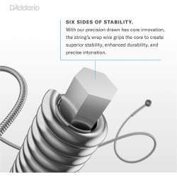 D'Addario NB1253 Light 12-53