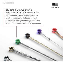 D'Addario NB1253 Light 12-53