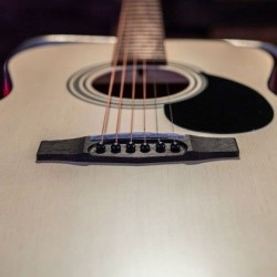 Cort Standard AF510E Open Pore + Bag
