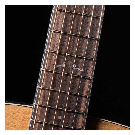 Cort Gold-OC6 Natural Gloss