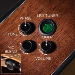 Cort Gold-OC6 Natural Gloss