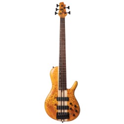 Cort A5 Plus SC Amber Open Pore