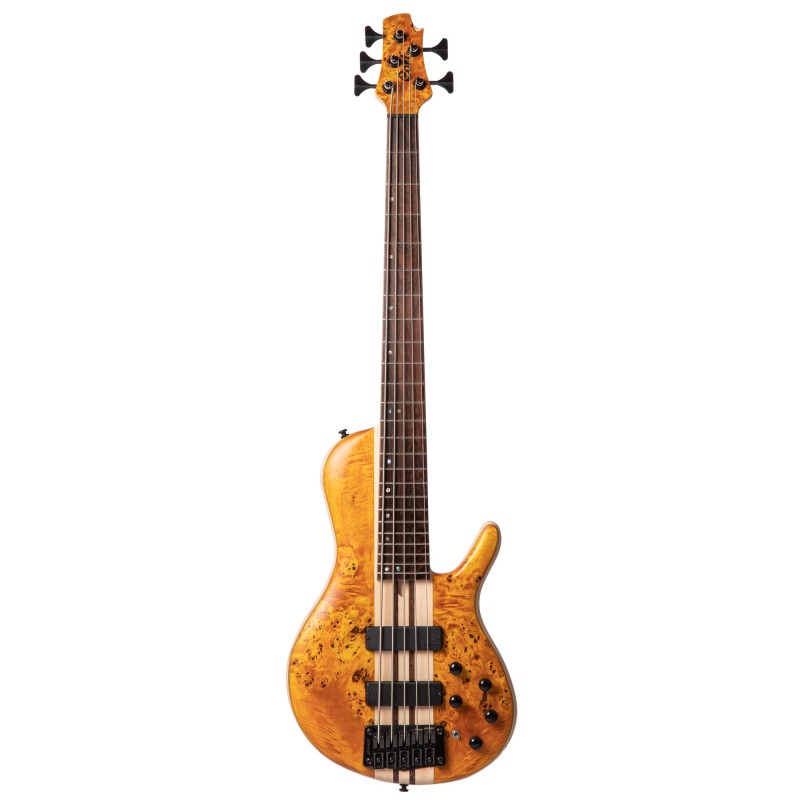 Cort A5 Plus SC Amber Open Pore