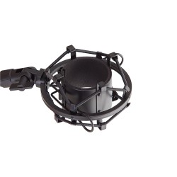Soundsation VOXTAKER 100
