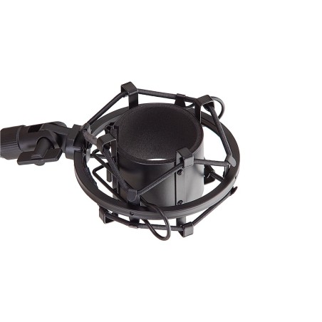 Soundsation VOXTAKER 100