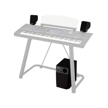 Yamaha GNS-MS01