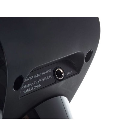 Yamaha GNS-MS01