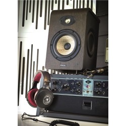 Focal Clear Pro Mg