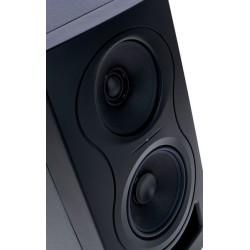 KALI AUDIO IN-5