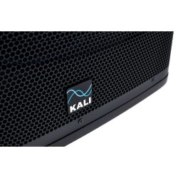 KALI AUDIO WS-12