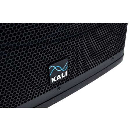 KALI AUDIO WS-12