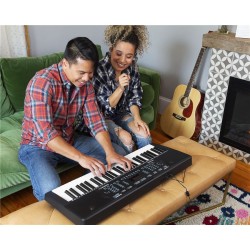 ALESIS Harmony 54