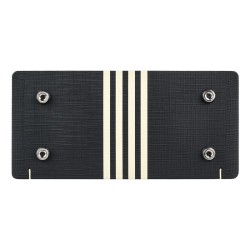 Supro Delta King 10 Black and Cream