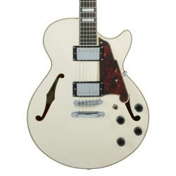 D'Angelico Premier SS Champagne Stop-Bar