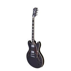 D'Angelico Premier DC Black Flake (2022)
