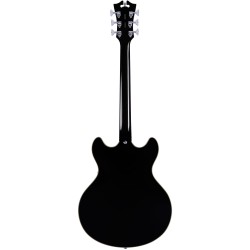 D'Angelico Premier DC Black Flake (2022)