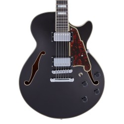 D'Angelico Premier SS Black Flake