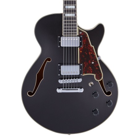 D'Angelico Premier SS Black Flake