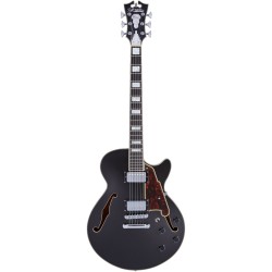D'Angelico Premier SS Black Flake