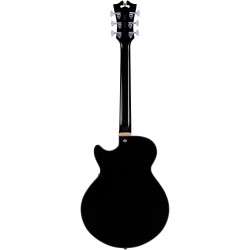 D'Angelico Premier SS Black Flake