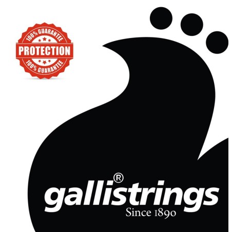 Galli Strings AGB1152 Light S.