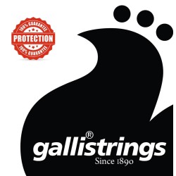 Galli Strings AGB1253