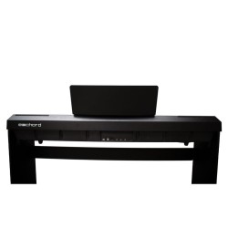 E-CHORD WS10