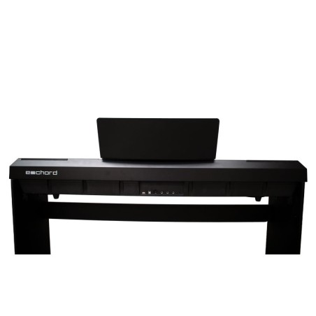 E-CHORD WS10