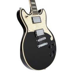 D'Angelico Premier Brighton Black Flake