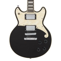 D'Angelico Premier Brighton Black Flake