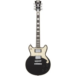 D'Angelico Premier Brighton Black Flake