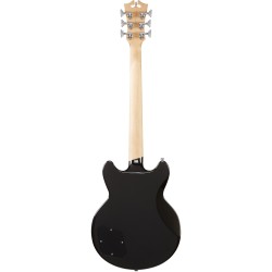D'Angelico Premier Brighton Black Flake