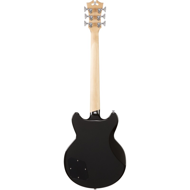 D'Angelico Premier Brighton Black Flake