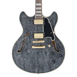 D'Angelico Excel DC Black Dog