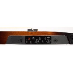 YAMAHA SLG200N Translucent Black