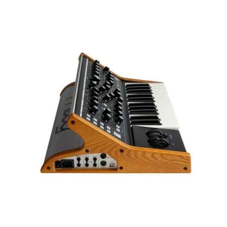Moog Music Subsequent 25