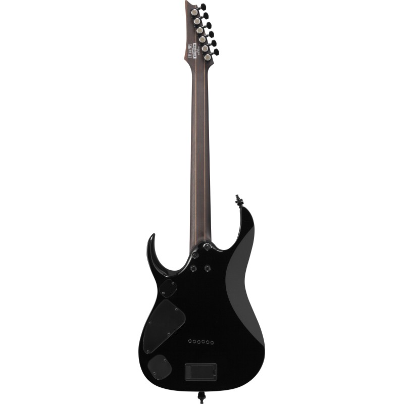 Ibanez RGD61ALA Midnight Tropical Rainforest
