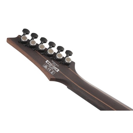 Ibanez RGD61ALA Midnight Tropical Rainforest
