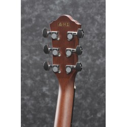 Ibanez AEG70 Vintage Violin High Gloss